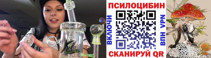 Псилоцибиновые грибы мицелий  дарнет шоп  Каменногорск 